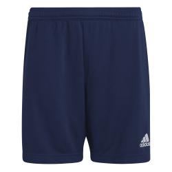 Adidas Entrada 22 shorts