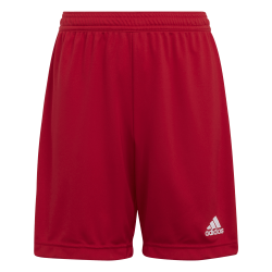 Adidas Entrada 22 shorts