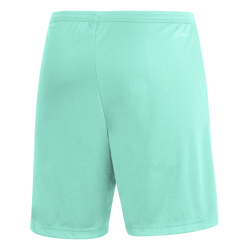 Adidas Entrada 22 shorts