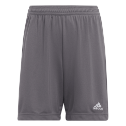 Adidas Entrada 22 shorts