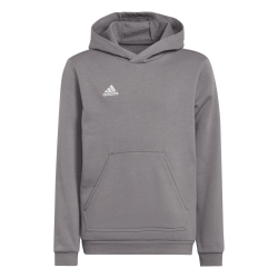 Adidas Entrada 22 Hoodie