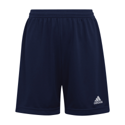 Adidas Entrada 22 shorts