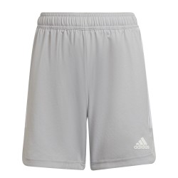 Adidas Condivo 22 Gray Shorts