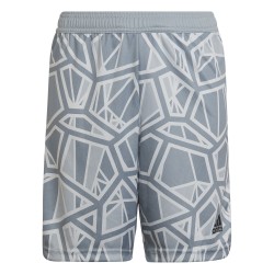 Adidas Condivo 22 Gray Shorts