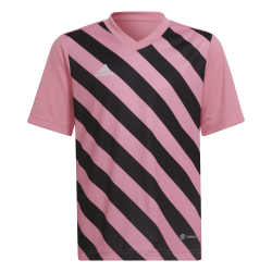 Maglia Adidas Entrada 22 Rosa