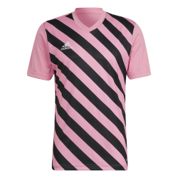 Maglia Adidas Entrada 22 Rosa