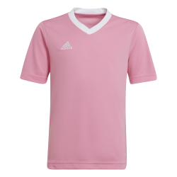 Maglia Adidas Entrada 22 Rosa