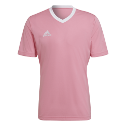 Maglia Adidas Entrada 22 Rosa