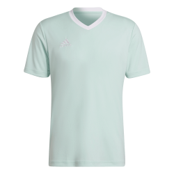 Maglia Adidas Entrada 22...