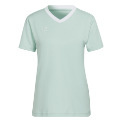 Maglia Adidas Entrada 22...