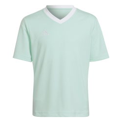 Maglia Adidas Entrada 22...