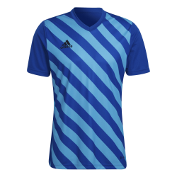 Maglia Adidas Entrada 22...