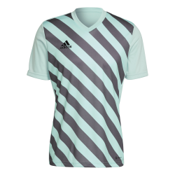 Maglia Adidas Entrada 22...