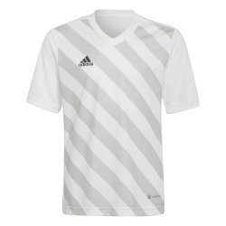 Adidas Entrada 22 White Jersey