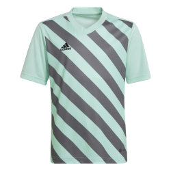 Maglia Adidas Entrada 22...