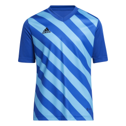 Maglia Adidas Entrada 22...