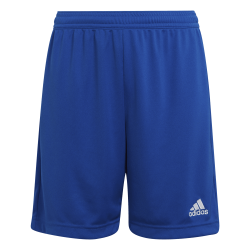 Shorts Entrada 22 Light blue