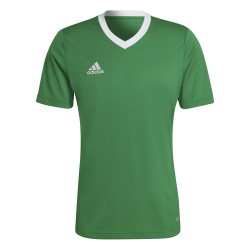 Maglia Entrada 22 Verde