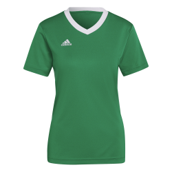 Maglia Entrada 22 Verde