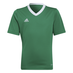 Entrada 22 Green Jersey