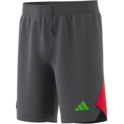 Adidas Tech Gray shorts