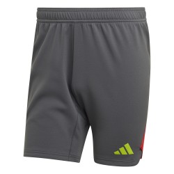 Adidas Tech Gray shorts