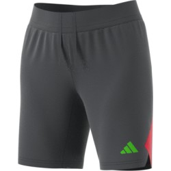 Adidas Tech Gray shorts